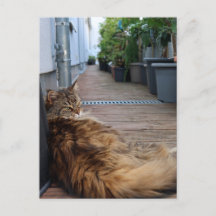 Hushållsuppvärmning eller flyttat kort