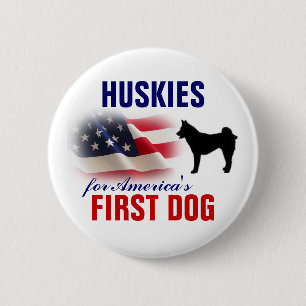 Huskies för den första hunden knapp