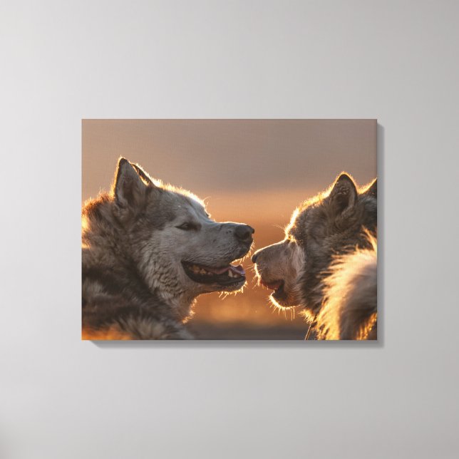 Huskies Hundar Photograph Canvastryck (Framsida)