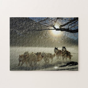 Huskies i Snö Pussel