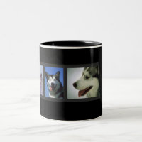 Huskies Mugg