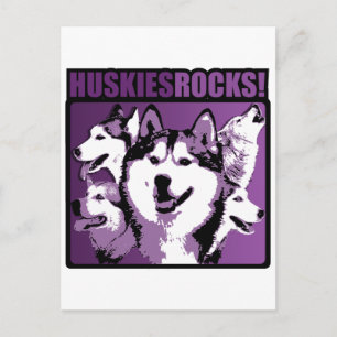 Huskies Sten! Vykort