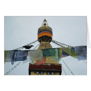 Huskråka på böner Bodha Stupa, Nepal Hälsningskort