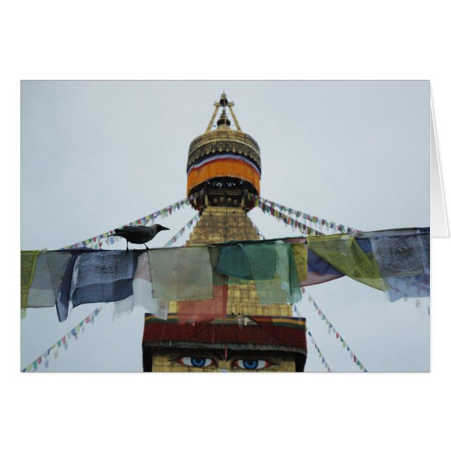 Huskråka på böner Bodha Stupa, Nepal Hälsningskort (Framsidan Horizontal)