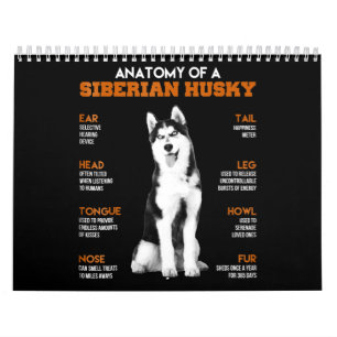 Husky Anatomi i Siberian husky Hundar Kalender