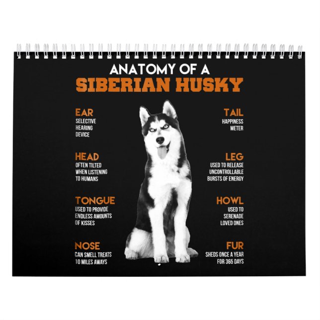Husky| Anatomi i Siberian husky Hundar Kalender (Omslag)