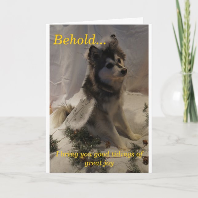 Husky ängeljulkort helgkort (Framsida)