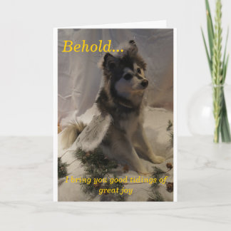 Husky ängeljulkort helgkort