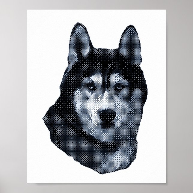 Husky är min favorit Hund, Siberian husky Poster (Framsidan)
