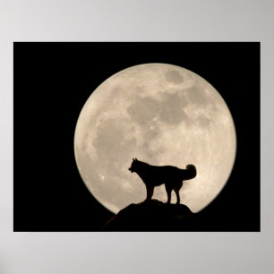 Husky Art Print Sled Hund Art Poster Husky Gifts