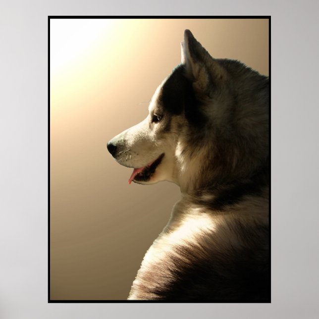 Husky Art Print Sled Hund Art Poster Husky Gifts (Framsidan)