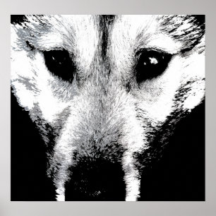 Husky Art Print Sled Hund Art Poster Valper för Va