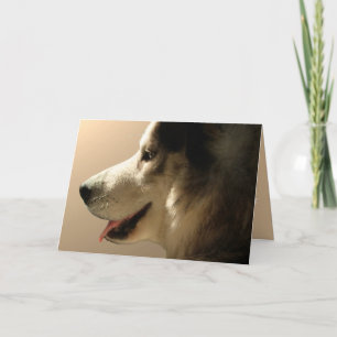 Husky Card Alaska Malamute Card Personlig Helgkort
