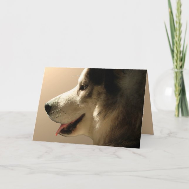 Husky Card Alaska Malamute Card-Personlig Helgkort (Framsida)