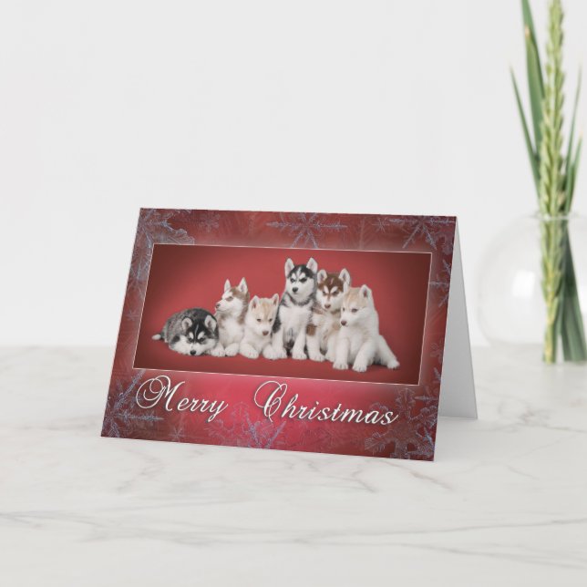 Husky christmas helgkort (Framsida)