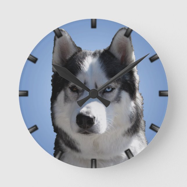 Husky Clock presenterar Dockor Sled Hund Wall Cloc Rund Klocka (Framsida)
