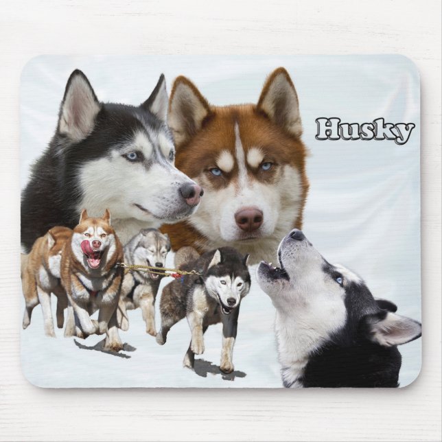 husky collage musmatta (Framsidan)