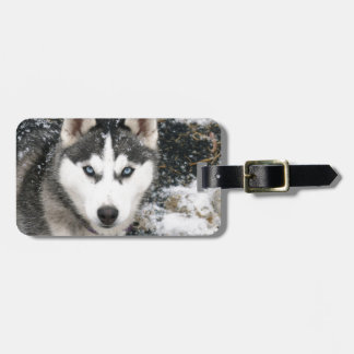 Husky dog bagagebricka