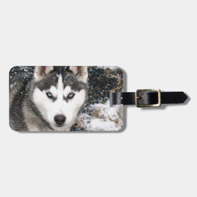 Husky dog bagagebricka (Horisontell Framsida)