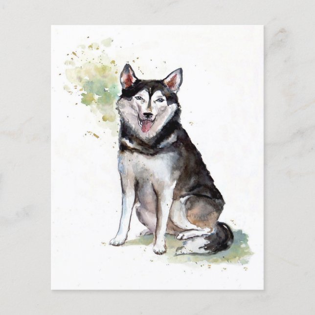 Husky dog Canvas (Framsida)