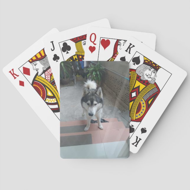 Husky Dog Classic Playing Cards Casinokort (Baksidan)