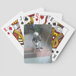 Husky Dog Classic Spelkort