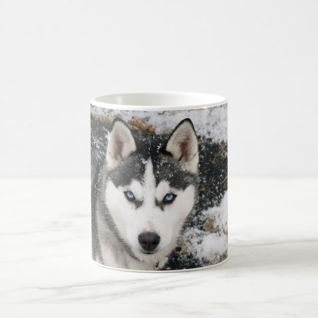 Husky dog kaffemugg (Center)