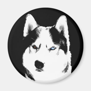 Husky Fridge Magnet Alaska Sled Hund Magnet / Gift