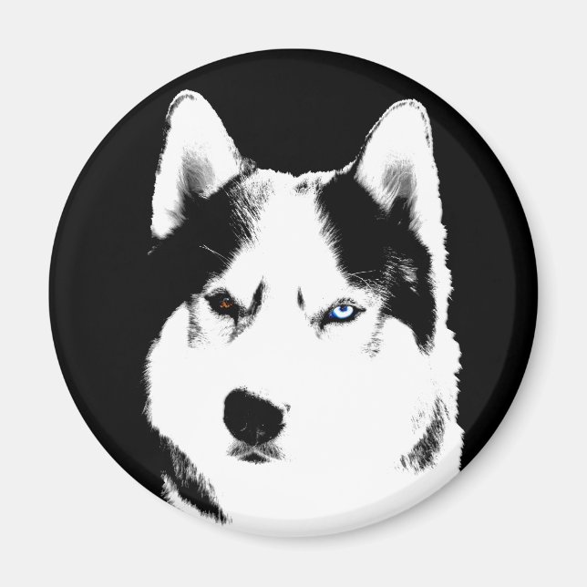 Husky Fridge Magnet Alaska Sled Hund Magnet / Gift (Framsidan)