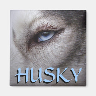 Husky Fridge Magnet Alaska Sled Hund Magnet / Gift