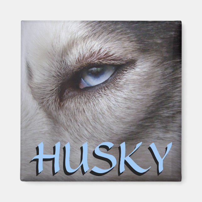 Husky Fridge Magnet Alaska Sled Hund Magnet / Gift (Framsidan)