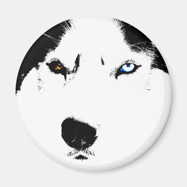 Husky Fridge Magnet Alaska Sled Hund Magnet / Gift (Framsidan)