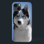 Husky Galaxy S3 Fodral Sledhund Husky Fodral<br><div class="desc">Husky Galaxy S3-fodral Sledhundälskare Galaxy-fodral Presentbutik Siberian Husky Hund Galaxy-fodral Present & Sledhundpresent Hundälskare Galaxy-smarttelefonfodral Siberian Husky Hundpresent Hem & Kontor Alaskan Malamute Hundkonstfodral & Husky-present för män, kvinnor & barn Hem & Kontor Varghund & Husky-ögon Present, kort, skjortor & dekorationer Hundkonstpresent med Tundra the Husky / Malamute Hundkonst Design...</div>