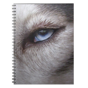 Husky gåvor & bokar för ögaanteckningsboksiberian anteckningsbok