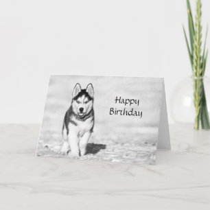 Husky Grattis på födelsedagen Card Kort