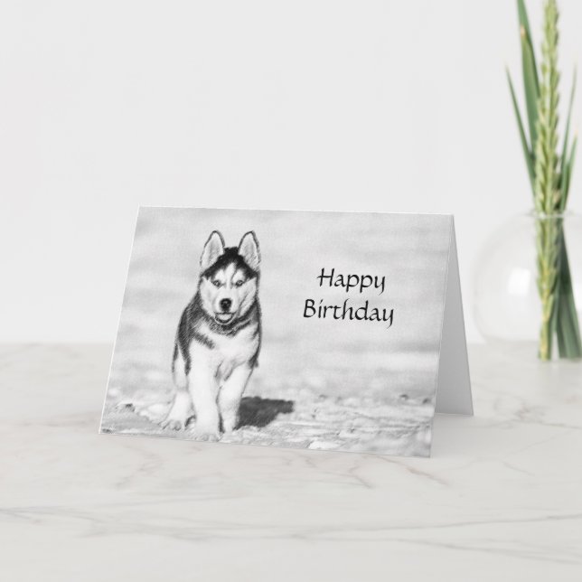 Husky Grattis på födelsedagen Card Kort (Framsida)