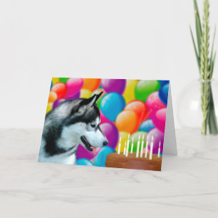 Husky Grattis på födelsedagen Kort
