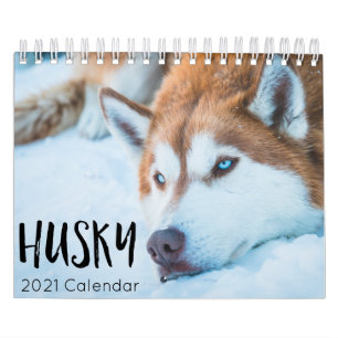 husky hund 2021-kalender kalender