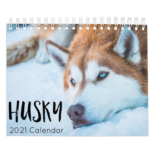 husky hund 2023-kalender kalender (Omslag)