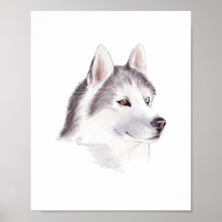 Husky Hund affisch / djur affischer