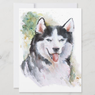 Husky hund Canvas