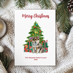 Husky Hund Family jul Julkort
