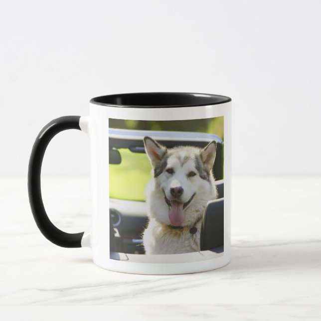 Husky hund från cabriolet mugg (Vänster)