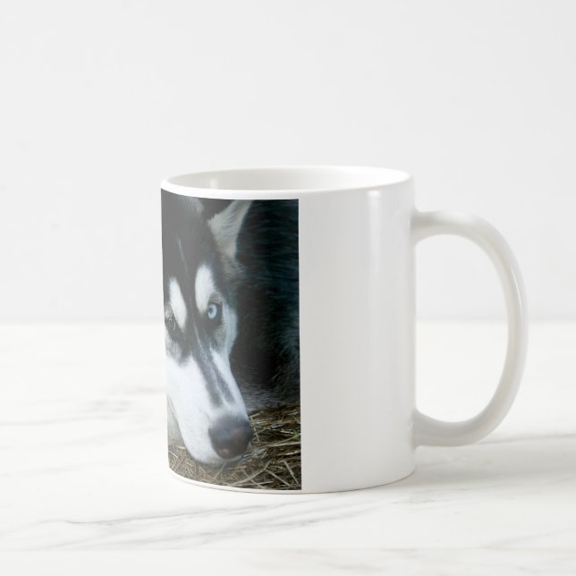 Husky hund kaffemugg (Höger)