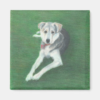 Husky Hund Magnet