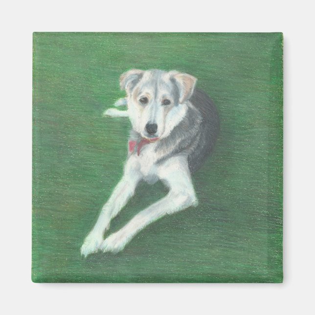 Husky Hund Magnet (Framsidan)