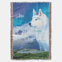 Husky hund med berg och norra ljus