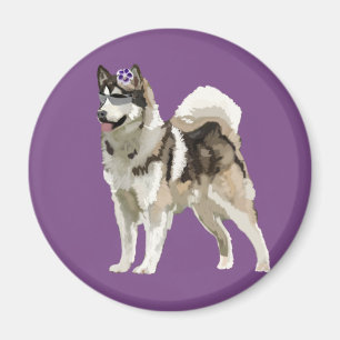 Husky hund med blomfoto magnet