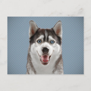 Husky Hund Monogram-foto Vykort