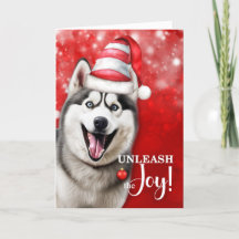 Husky Hund Släpp loss jultomten